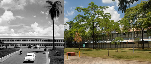 Fachada da Escola no bairro Gameleira, nos anos 1940, e no campus Pampulha, já nos dias atuais: referência nacional na área de veterinária