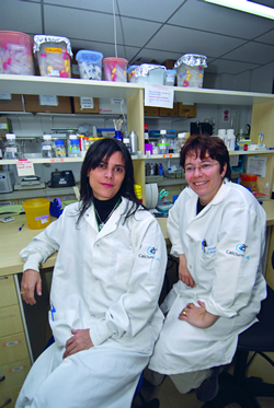 Lídia Andrade (à esquerda) desenvolveu pesquisa que lança mão de descoberta feita em 2003 por Fátima Leite (à direita)