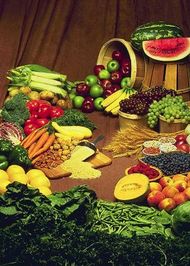 Alimentos_wipipedia.jpg