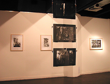 EBA_mostra10.jpg