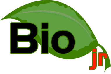 BioJr.gif