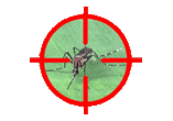 aedes-site.gif