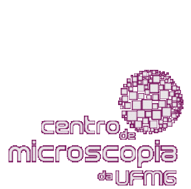 centrodemicroscopia_ufmg.gif