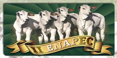 enapec.JPG