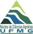 logo_nca-ufmg.gif