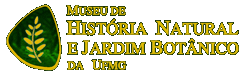 logomumuseu.gif