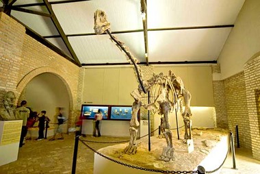 paleontologia_07.jpg