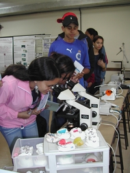 microscopio.JPG