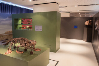 A imagem mostra uma sala de exposição de museu com temática de paleontologia. No primeiro plano e à esquerda, há um grande esqueleto de dinossauro, de cor marrom claro, montado sobre uma plataforma verde escura que se eleva do chão. A cabeça do esqueleto está voltada para a direita, e suas patas estão posicionadas sobre suportes cor de cobre. Ao centro da imagem, uma parede verde oliveira com nichos embutidos exibe modelos menores de dinossauros e placas informativas. O chão da sala é claro, e as paredes variam entre tons de verde e cinza escuro. No lado direito, um crânio fossilizado está exposto sobre um pedestal, e uma grande imagem de um dinossauro na parede completa o ambiente da exposição. O teto possui iluminação embutida e uma textura perfurada.