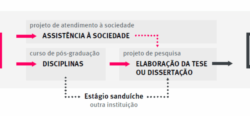 O diagrama inicia com um retângulo rosa contendo a palavra "Ingressante". A partir deste ponto central, divergem caminhos distintos, representados por setas rosas : Um dos percursos é o “Projeto de atendimento à sociedade”, onde destaca-se a inscrição “Assistência à sociedade”. O outro é o “Curso de pós-graduação”, onde destaca-se a inscrição “Disciplinas”. Ambos os percursos culminam em uma caixa chamada “Projeto de pesquisa”, onde a inscrição “Elaboração da tese ou dissertação” se destaca. Uma linha preta pontilhada conecta as caixas “Disciplina” e “Elaboração da tese ou dissertação”, com a inscrição “Estágio sanduíche”. Da caixa "Elaboração da tese ou dissertação", uma seta preta direciona para uma caixa com a indicação "Egresso".