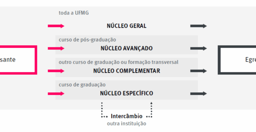 A imagem é um fluxograma que representa a trajetória formativa de um estudante na UFMG, desde o ingresso até a conclusão do curso. Essa formação é composta por quatro núcleos: Geral, Específico, Complementar e Avançado, que abrangem desde conteúdos comuns a toda a universidade até disciplinas da graduação, pós-graduação e outras formações. Há também a possibilidade de intercâmbio com outras instituições ou um curso de outra graduação, formação transversal.
