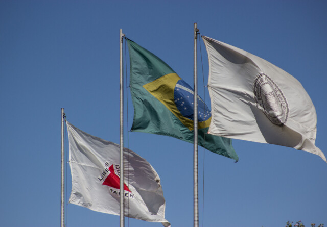L'image montre un plan moyen de trois drapeaux flottant sur un ciel bleu clair et lumineux. De gauche à droite, les drapeaux sont : le drapeau de l'État du Minas Gerais, blanc avec un triangle rouge et la devise « LIBERTAS QUAE SERA TAMEN » en noir ; le drapeau national du Brésil, avec ses couleurs vert, jaune et bleu ; et un drapeau blanc avec un emblème circulaire noir ou foncé, représentant le sceau de l'Université fédérale du Minas Gerais (UFMG). Tous les drapeaux sont fixés à des mâts métalliques et semblent légèrement usés par l'usage. Le vent les a balayés, leur donnant un aspect dynamique et ondulant. Le soleil les illumine, faisant ressortir leurs couleurs et leurs textures sur le fond bleu profond. Le bas de l'image est légèrement recadré, laissant apparaître seulement un soupçon de feuillage ou un bâtiment dans le coin inférieur droit.