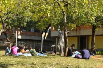 A imagem mostra um grupo de pessoas sentadas na grama, em um ambiente externo, à sombra de árvores. No primeiro plano, à esquerda, quatro pessoas estão sentadas em círculo, conversando e lendo. Outras pessoas estão sentadas individualmente ou em pequenos grupos. A pessoa no canto inferior esquerdo está de camisa rosa, sentada de frente para as outras. Entre as árvores, uma estátua escura de uma figura feminina está visível. O chão é coberto por grama verde, com algumas folhas secas. Ao fundo, um prédio de tijolos vermelhos e grandes janelas retangulares é visível. A luz do sol é intensa e cria áreas de sombra.