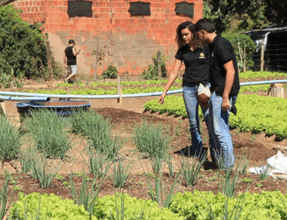 Imagem mostra dois trabalhadores, um homem e uma mulher, em meio à uma plantação, conversando sobre a mesma