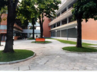 Imagem mostra um pátio externo entre edifícios, pavimentado com blocos de concreto hexagonais. O ambiente é cercado por árvores de troncos grossos e folhas verdes plantadas em canteiros elevados e arredondados. No centro do pátio, há um banco laranja de metal. Os edifícios ao redor são de múltiplos andares. À esquerda, a parede de um prédio é de tijolos à vista e possui janelas grandes. À direita, a parede de outro prédio é bege, com faixas horizontais de concreto e janelas de metal. No centro, ao fundo, os edifícios são interligados por uma passarela de concreto, e é possível ver pessoas sentadas na parte de baixo, em um espaço sombreado. A iluminação é natural, proveniente da luz do dia.
