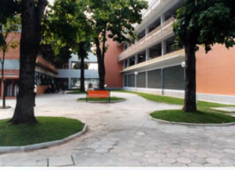 Imagem mostra um pátio externo entre edifícios, pavimentado com blocos de concreto hexagonais. O ambiente é cercado por árvores de troncos grossos e folhas verdes plantadas em canteiros elevados e arredondados. No centro do pátio, há um banco laranja de metal. Os edifícios ao redor são de múltiplos andares. À esquerda, a parede de um prédio é de tijolos à vista e possui janelas grandes. À direita, a parede de outro prédio é bege, com faixas horizontais de concreto e janelas de metal. No centro, ao fundo, os edifícios são interligados por uma passarela de concreto, e é possível ver pessoas sentadas na parte de baixo, em um espaço sombreado. A iluminação é natural, proveniente da luz do dia.