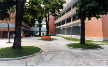 Imagem mostra um pátio externo entre edifícios, pavimentado com blocos de concreto hexagonais. O ambiente é cercado por árvores de troncos grossos e folhas verdes plantadas em canteiros elevados e arredondados. No centro do pátio, há um banco laranja de metal. Os edifícios ao redor são de múltiplos andares. À esquerda, a parede de um prédio é de tijolos à vista e possui janelas grandes. À direita, a parede de outro prédio é bege, com faixas horizontais de concreto e janelas de metal. No centro, ao fundo, os edifícios são interligados por uma passarela de concreto, e é possível ver pessoas sentadas na parte de baixo, em um espaço sombreado. A iluminação é natural, proveniente da luz do dia.