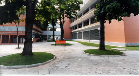 Imagem mostra um pátio externo entre edifícios, pavimentado com blocos de concreto hexagonais. O ambiente é cercado por árvores de troncos grossos e folhas verdes plantadas em canteiros elevados e arredondados. No centro do pátio, há um banco laranja de metal. Os edifícios ao redor são de múltiplos andares. À esquerda, a parede de um prédio é de tijolos à vista e possui janelas grandes. À direita, a parede de outro prédio é bege, com faixas horizontais de concreto e janelas de metal. No centro, ao fundo, os edifícios são interligados por uma passarela de concreto, e é possível ver pessoas sentadas na parte de baixo, em um espaço sombreado. A iluminação é natural, proveniente da luz do dia.