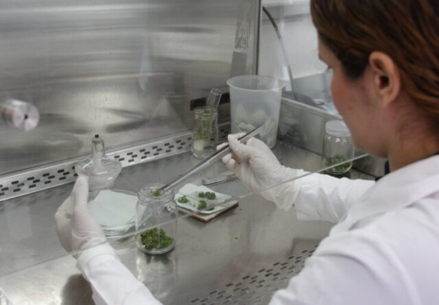 Mulher de jaleco branco de costas manipula instrumentos em laboratório