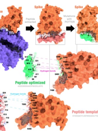 Simulação feita por computador da ação da molécula com o vírus da covid-19