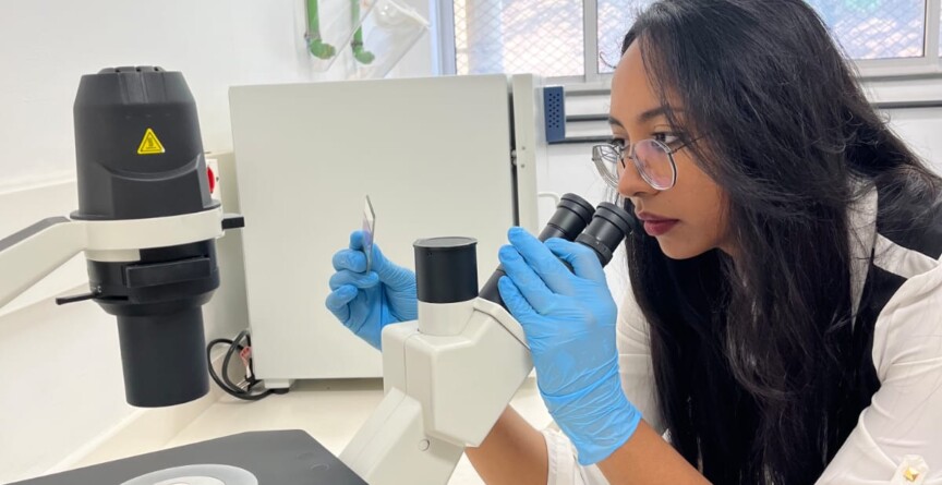 Pesquisadora Nathalia Oliveira, da Faculdade de Farmácia, manipula lâminas de vidro junto a um microscópio