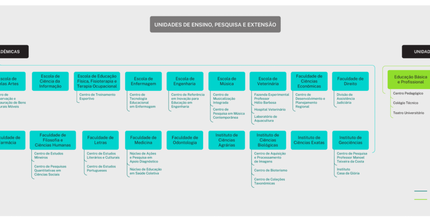 A imagem representa a estrutura dos Órgãos de Ensino, Pesquisa e Extensão da UFMG, divididos em duas categorias: Unidades Acadêmicas e Unidades Especiais. As Unidades Acadêmicas incluem as Escolas, Faculdades e Institutos, que se conectam aos Órgãos Complementares, demonstrando uma relação de apoio técnico e científico. Já as Unidades Especiais são compostas pela Escola de Educação Básica e Profissional e pelo Hospital das Clínicas, que desenvolvem atividades específicas de ensino, formação técnica, pesquisa aplicada e serviços à comunidade. A organização visual em caixas com contornos rosa evidencia a separação entre os diferentes tipos de unidades vinculadas às funções acadêmicas da universidade.