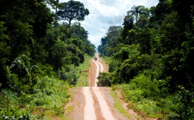 Estrada não pavimentada que corta uma área de floresta