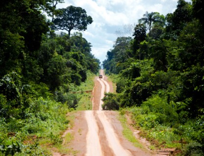 Estrada não pavimentada que corta uma área de floresta