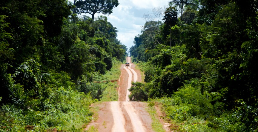 Estrada não pavimentada que corta uma área de floresta