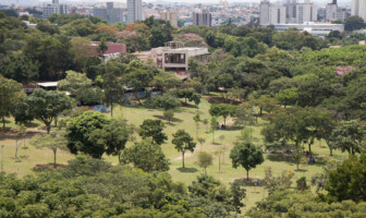 Área verde no campus Pampulha