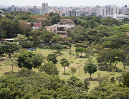 Área verde no campus Pampulha