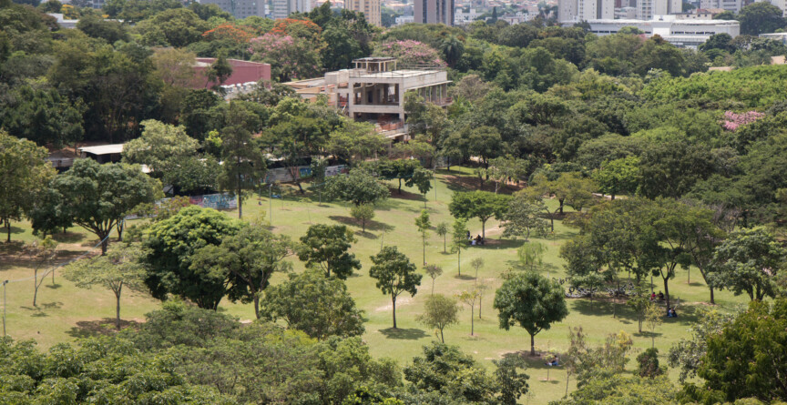 Área verde no campus Pampulha