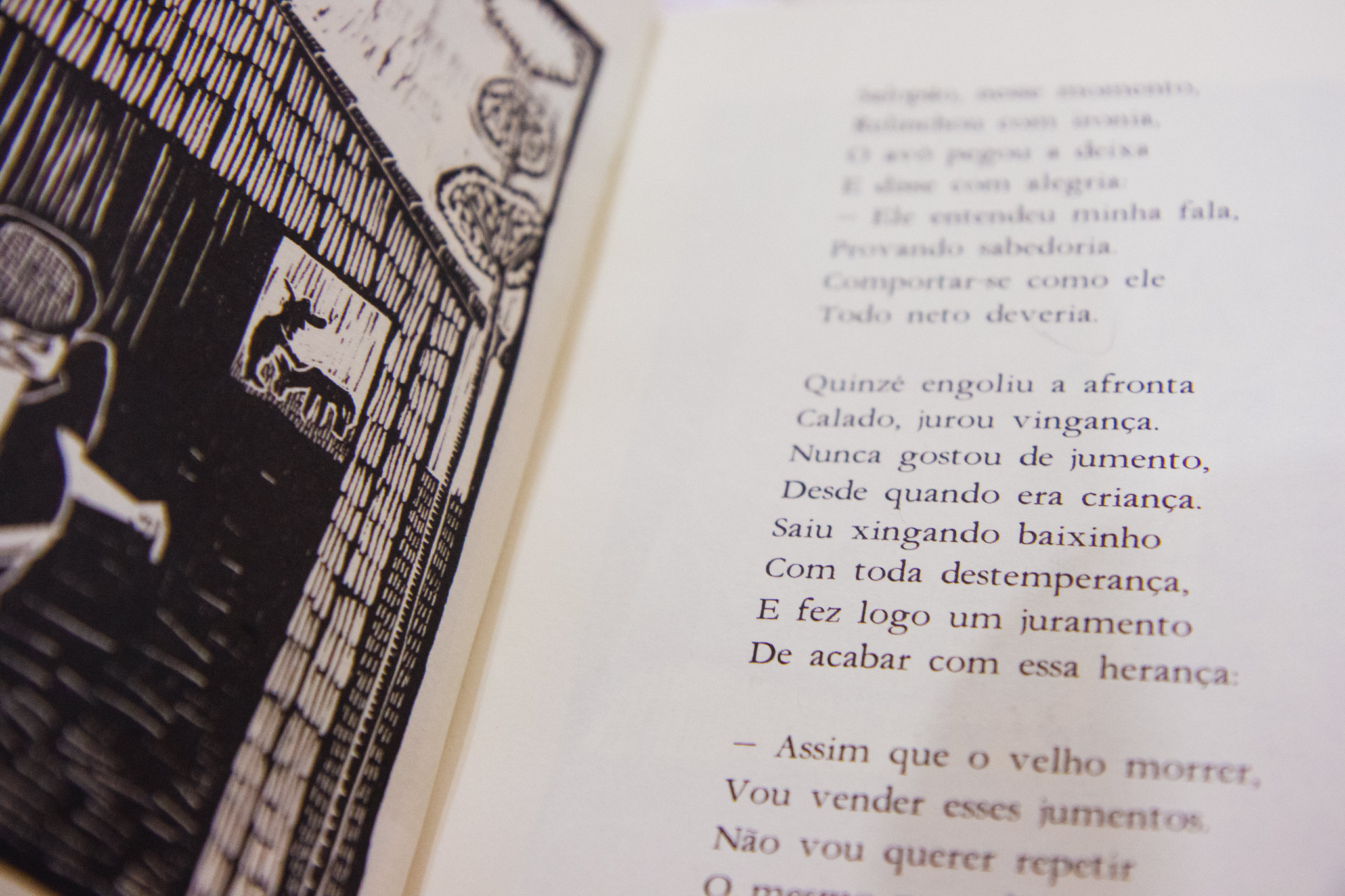 Um livro de Cordel aberto, à esquerda, uma xilogravura, à direita, um trecho de um cordel.