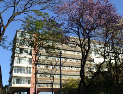 Imagem do prédio da Reitoria defronte a ipês rosa, amarelo e branco floridos