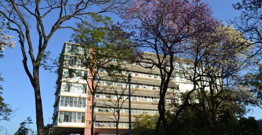 Imagem do prédio da Reitoria defronte a ipês rosa, amarelo e branco floridos