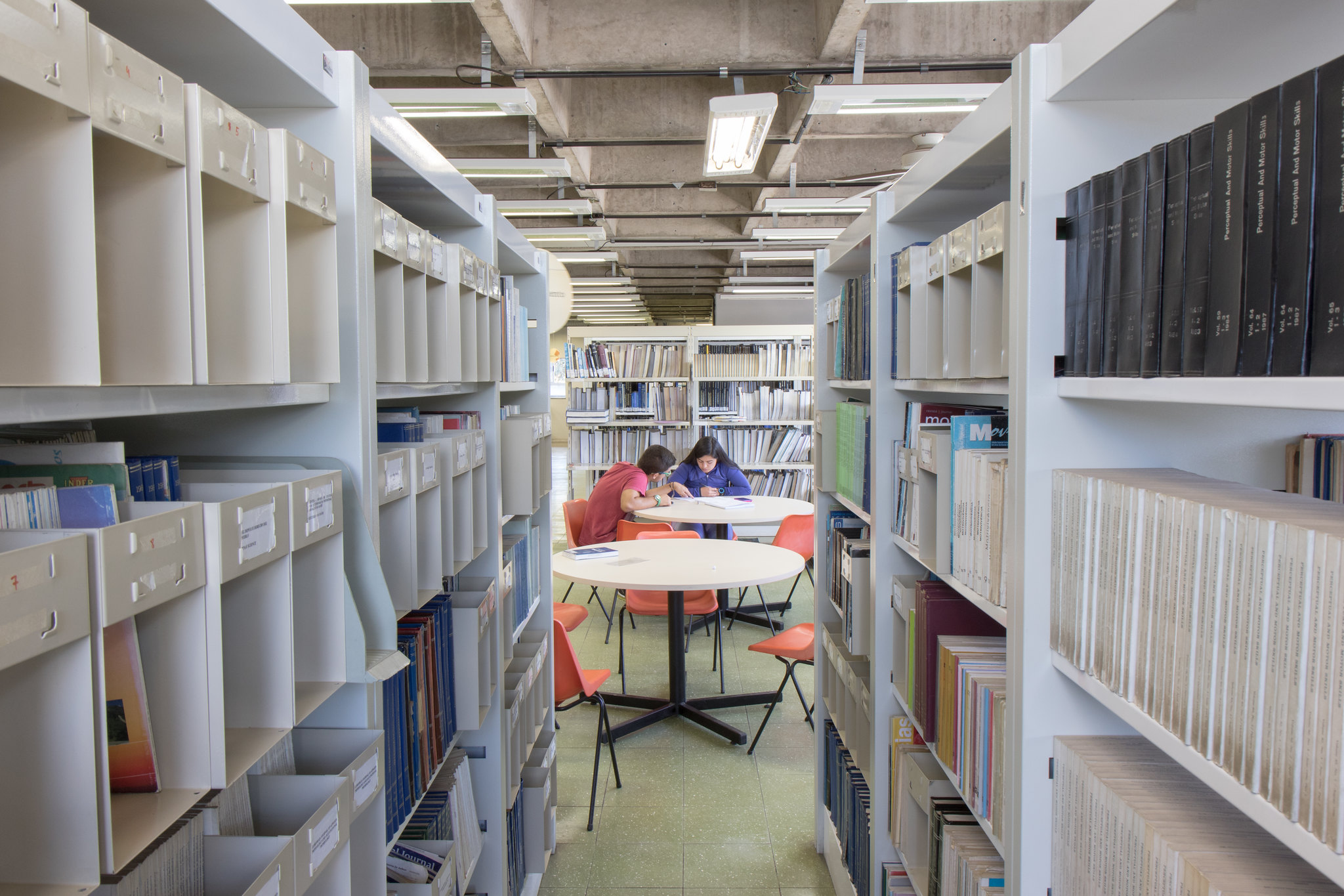 Entre duas prateleiras com livros, alunos sentados em uma mesa estudando