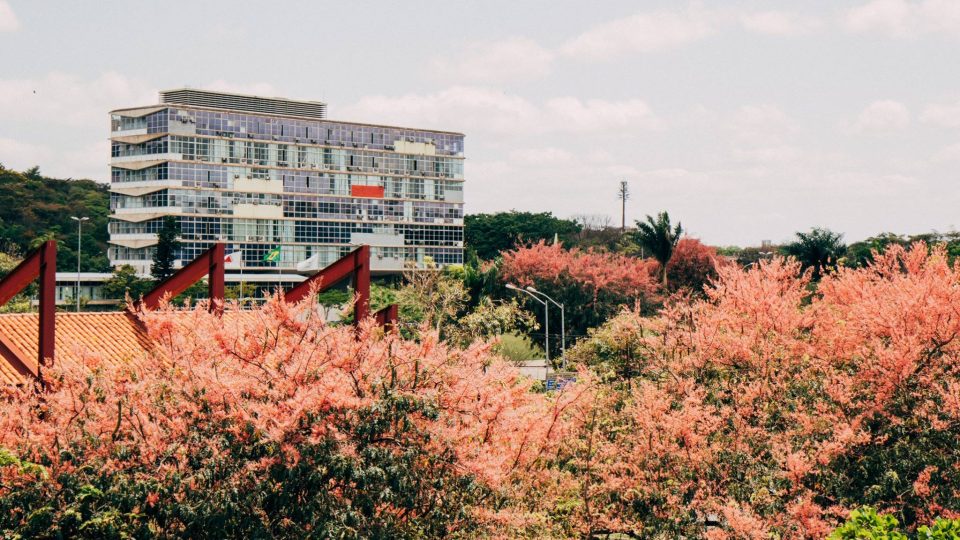 Reitoria da UFMG. Foto: Lucas Braga