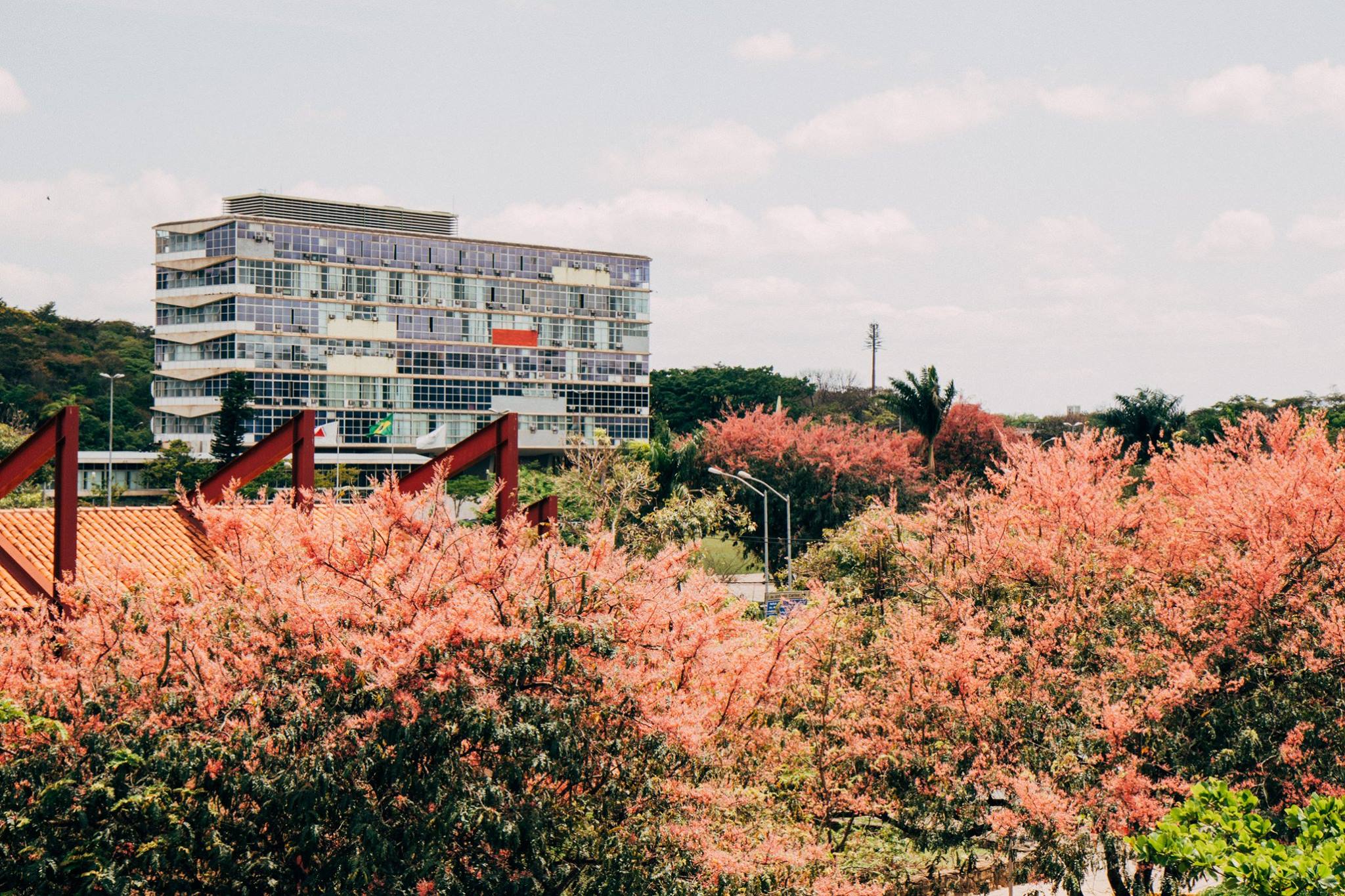 Reitoria da UFMG. Foto: Lucas Braga