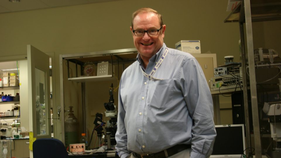 Professor David M. Lovinger, chefe do Laboratório de Neurociência Integrativa do National Institute on Alcohol Abuse and Alcoholism (NIAAA), dos Estados Unidos. Divulgação