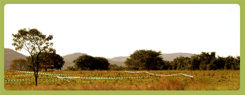 Núcleo de Ciências Agrárias UFMG