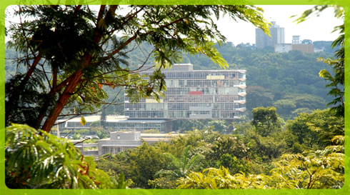Reitoria UFMG - Campus Pampulha