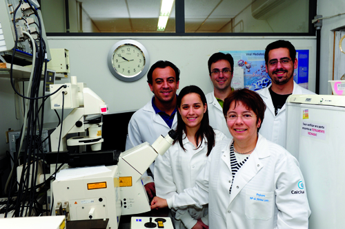 Ftima Leite ( frente), Erika Guimares, Gustavo Menezes, Andr Oliveira e Pedro Marques: descoberta de mecanismo especfico para a multiplicao celular 