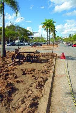 Obras na Mendes Pimentel: poca adequada para revolver e adubar a terra dos canteiros