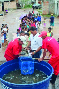 Participantes distribuem peixes para moradores da cidade: ressocializao