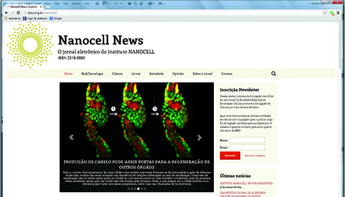 Newsletter contabiliza 150 mil acessos por edio