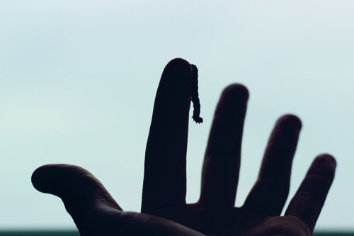 Loop infinito (detalhe)