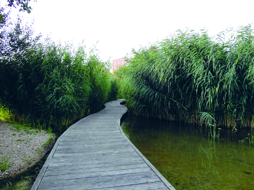  Wetland construdo para tratar gua no Rio Sena, nos arredores de Paris 