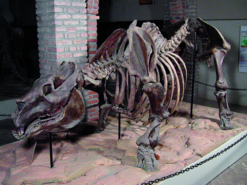 Réplica de preguiça gigante do acervo do Museu de História Natural