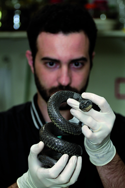 Henrique com um espécime morto da serpente: características singulares