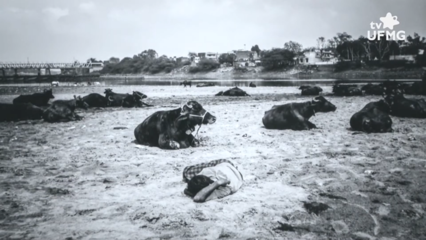 Exposição “O tempo da imagem”